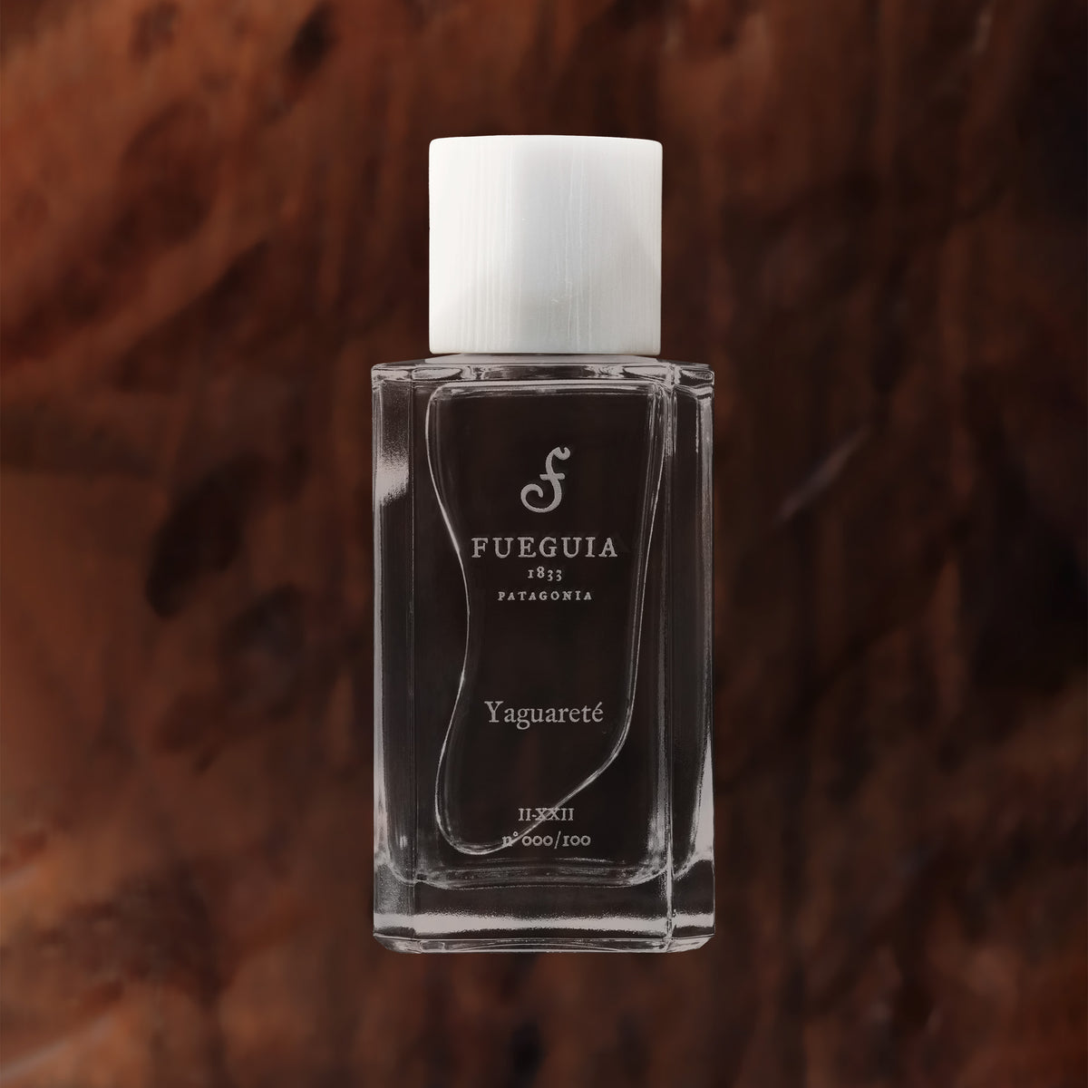 Yaguareté– Fueguia Mexico